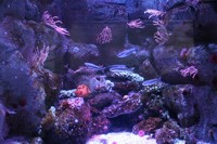 img_0051.jpg